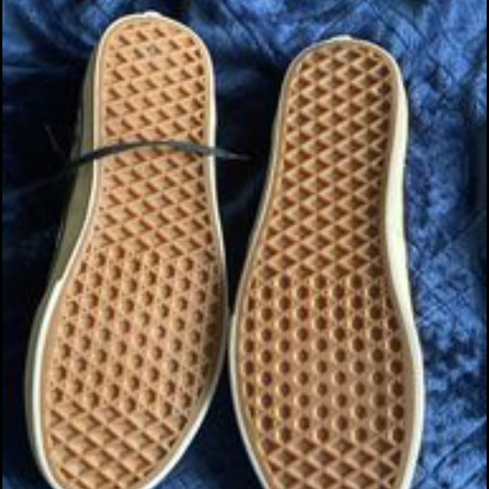 cat vans